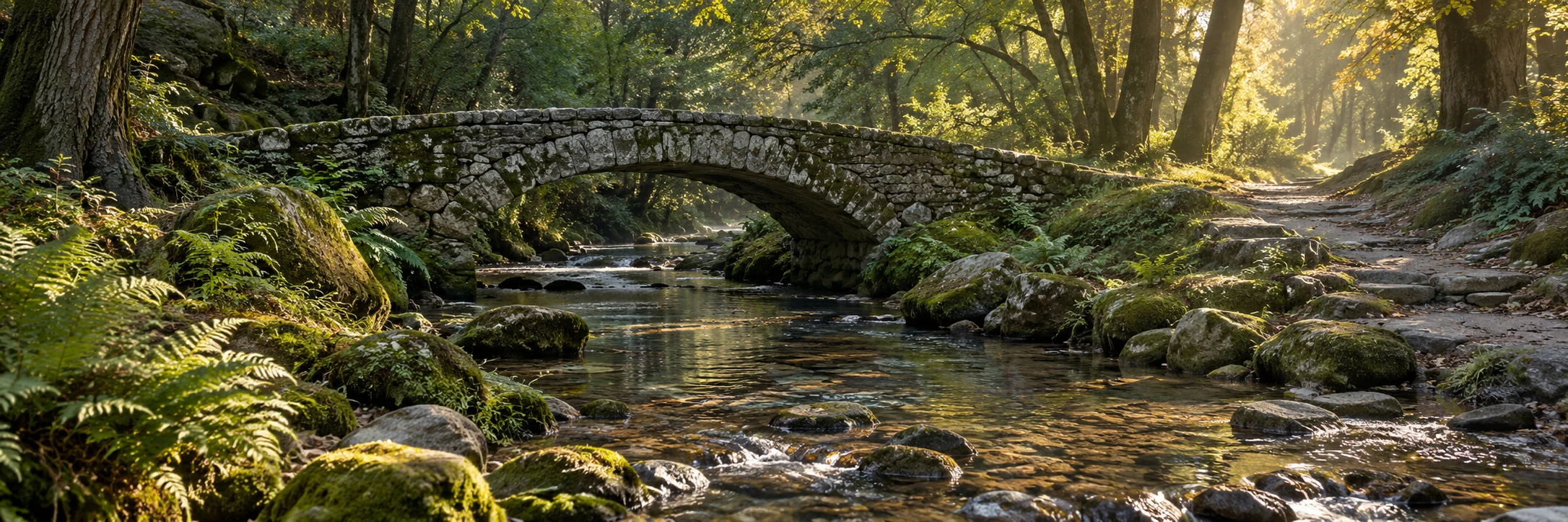 A weathered stone footbridge crosses a clear woodland stream beside a path leading into soft morning light.