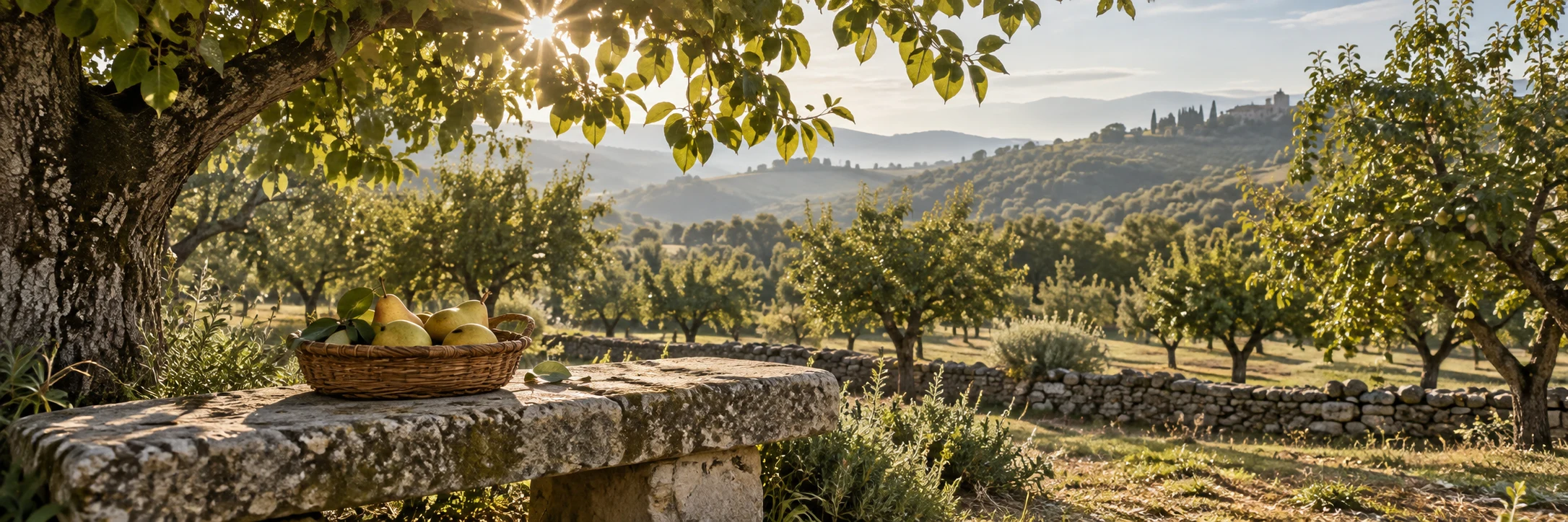 A basket of ripe pears rests on a stone bench beneath leafy branches in a sunlit orchard.